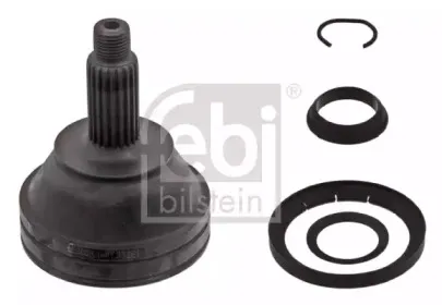 febibilstein-33261