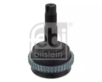 febibilstein-33265