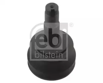 febibilstein-33271