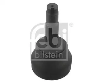 febibilstein-33275