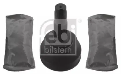febibilstein-33277