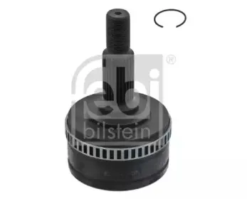 febibilstein-33297