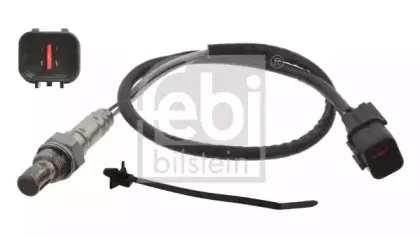 febibilstein-33361