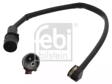 febibilstein-33411