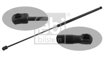 febibilstein-33563