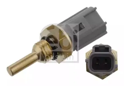 febibilstein-33628