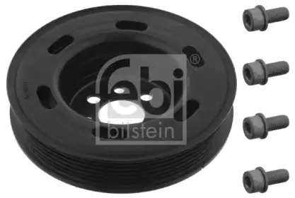 febibilstein-33671