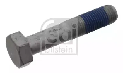 febibilstein-33675
