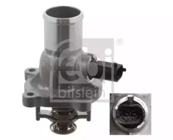 febibilstein-33684