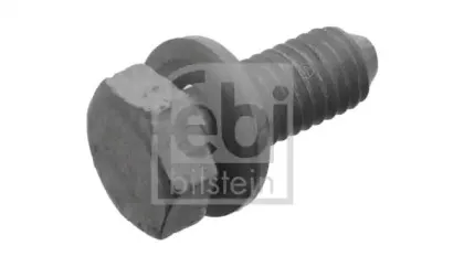 febibilstein-33757