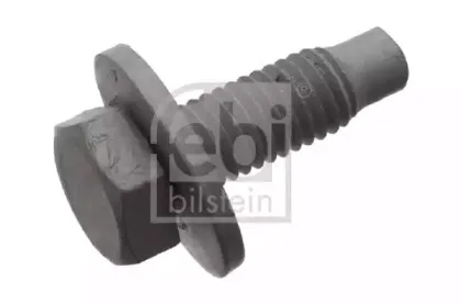 febibilstein-33759