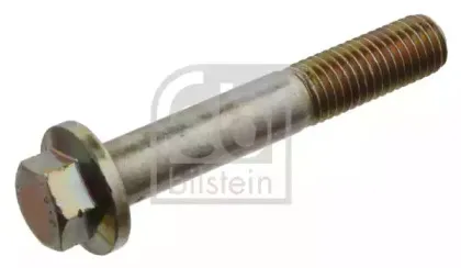 febibilstein-33818