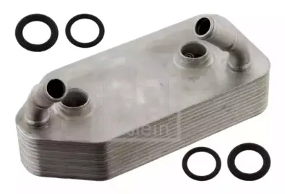 febibilstein-33837