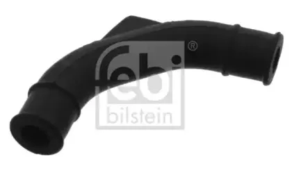febibilstein-33856