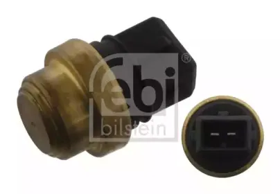 febibilstein-33878