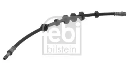 febibilstein-33991
