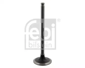 febibilstein-34385
