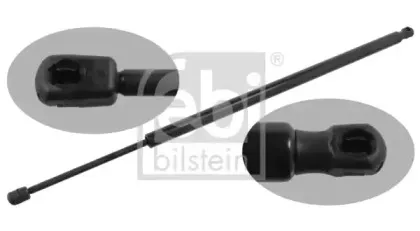 febibilstein-34429