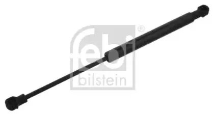 febibilstein-34443