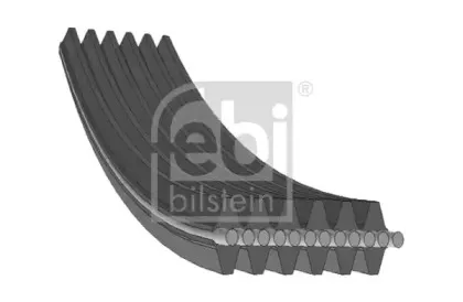 febibilstein-34460