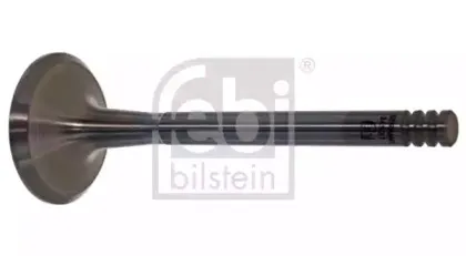 febibilstein-34531