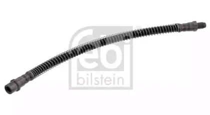 febibilstein-34535