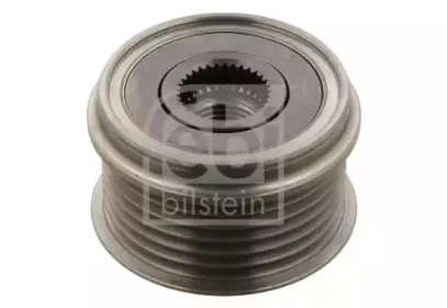 febibilstein-34605