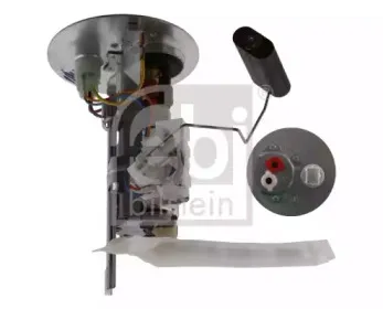 febibilstein-34607