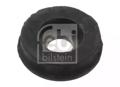 febibilstein-34848
