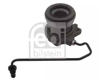 febibilstein-34935