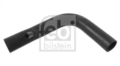 febibilstein-35155