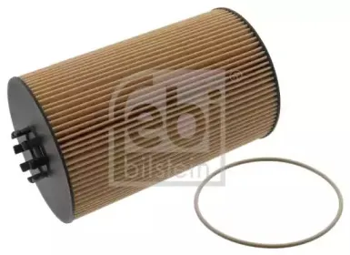 febibilstein-35348