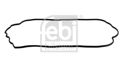 febibilstein-35484