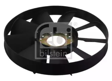 febibilstein-35536