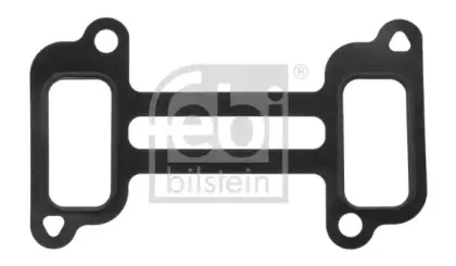 febibilstein-35623