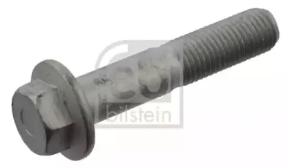 febibilstein-35629