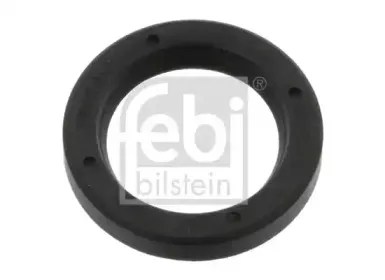 febibilstein-35719
