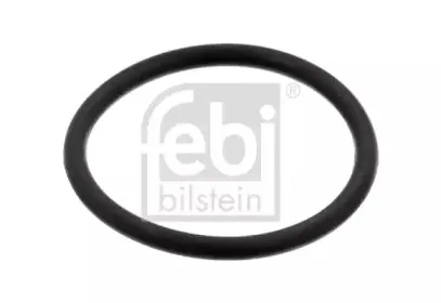 febibilstein-35803