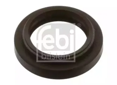 febibilstein-35841