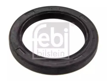 febibilstein-35854