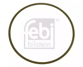 febibilstein-35861
