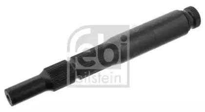 febibilstein-35964