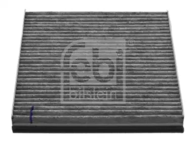 febibilstein-36035