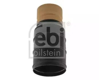 febibilstein-36308