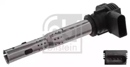 febibilstein-36358