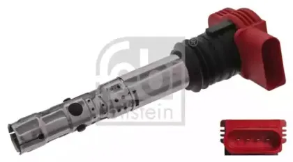 febibilstein-36359