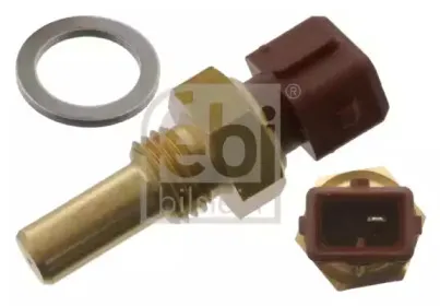 febibilstein-36416