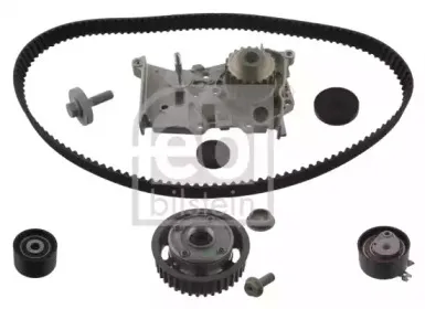 febibilstein-36444