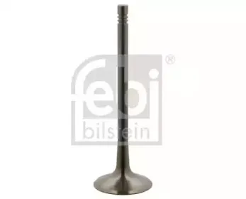 febibilstein-36497