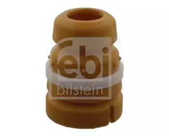 febibilstein-36532
